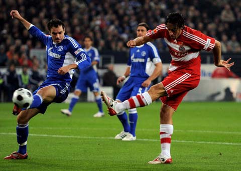 更加鲜活 更加鲜活